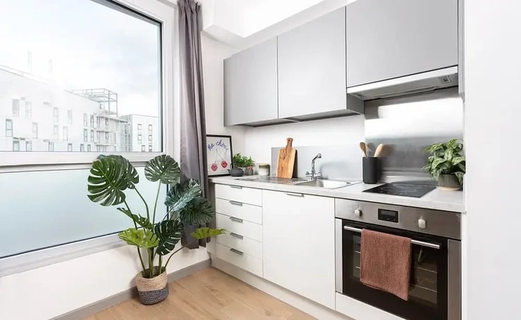 White cabinets sink stove plant window kitchen at Arch View House in London Student Accommodation