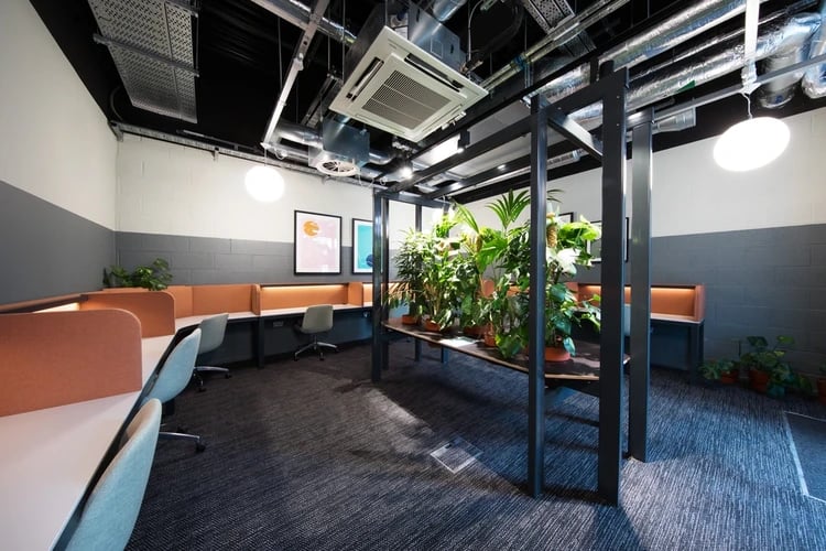 Desk pods with chairs and plants study area at Arch View House in London Student Accommodation