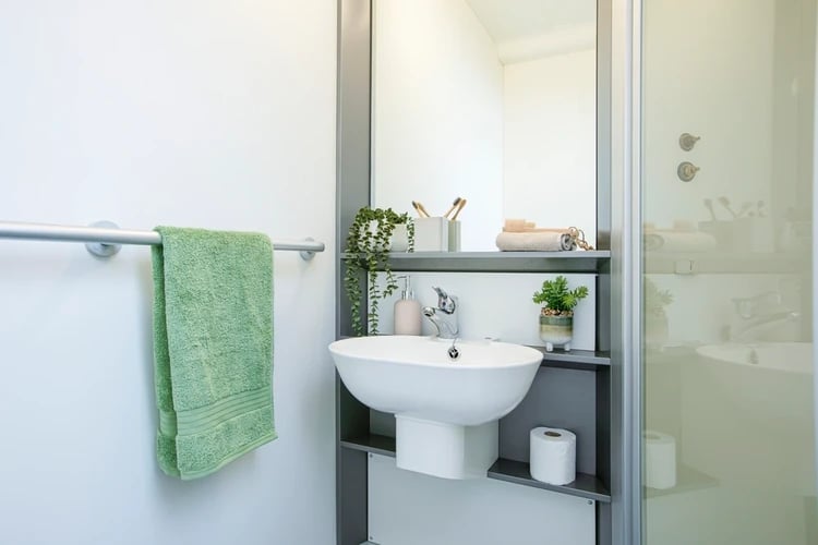 Sink, towel, plants, toilet roll bathroom at Blithehale Court in London Student Accommodation