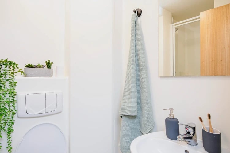 Toilet sink with succulents and towel bathroom at Blithehale Court in London Student Accommodation