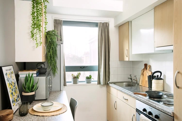 Kitchenette with microwave plants and kettle kitchen at Blithehale Court in London Student Accommodation