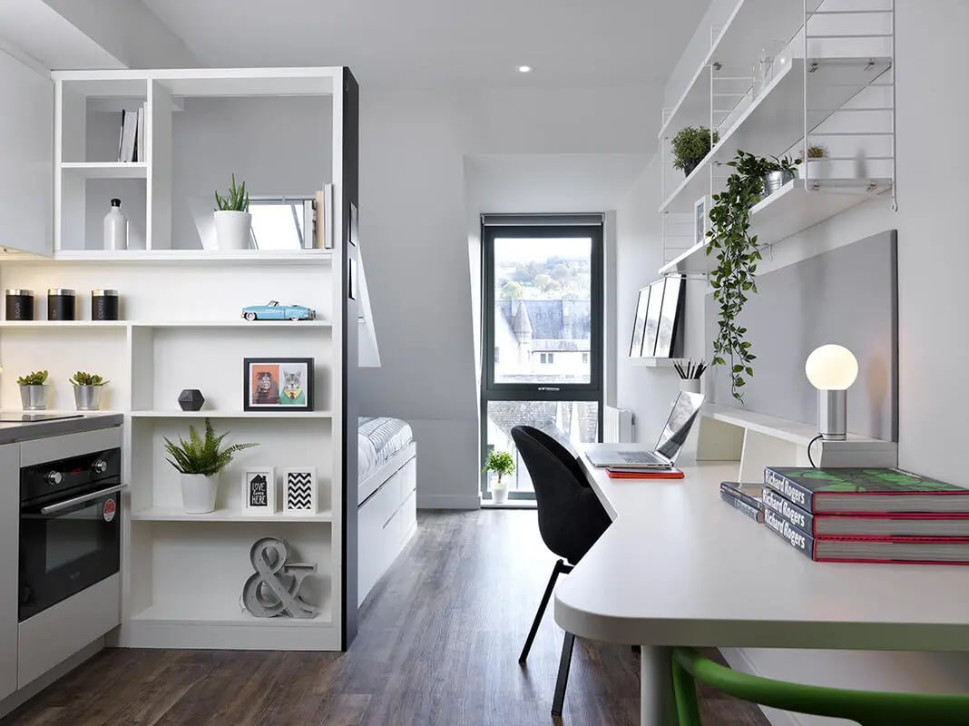 Shelving unit kitchen desk laptop plants and bed living room at Student Castle Bath in Bath Student Accommodation