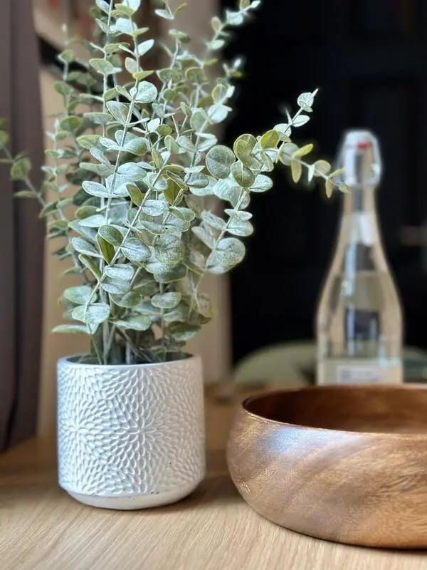Potted plant wooden bowl and bottle decor living room at 4 Bedroom House at 126, Empress Road in Liverpool Student Accommodation