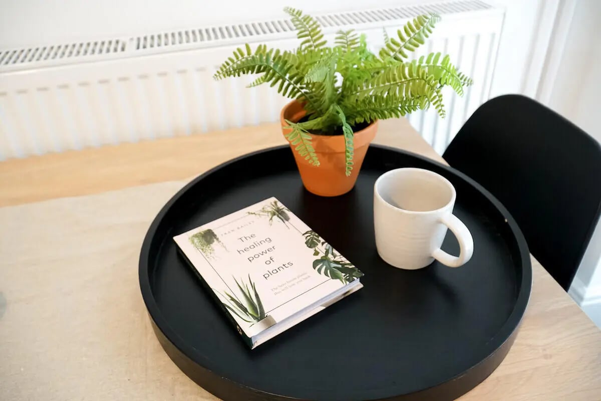 Book potted plant and mug on tray dining table at 5 Bedroom House at 14, Driffield Street in Manchester Student Accommodation