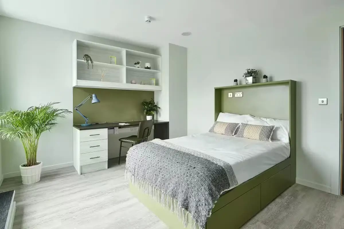 Bed desk shelves plant and chair bedroom at Flora Building - Hoxton in London Student Accommodation