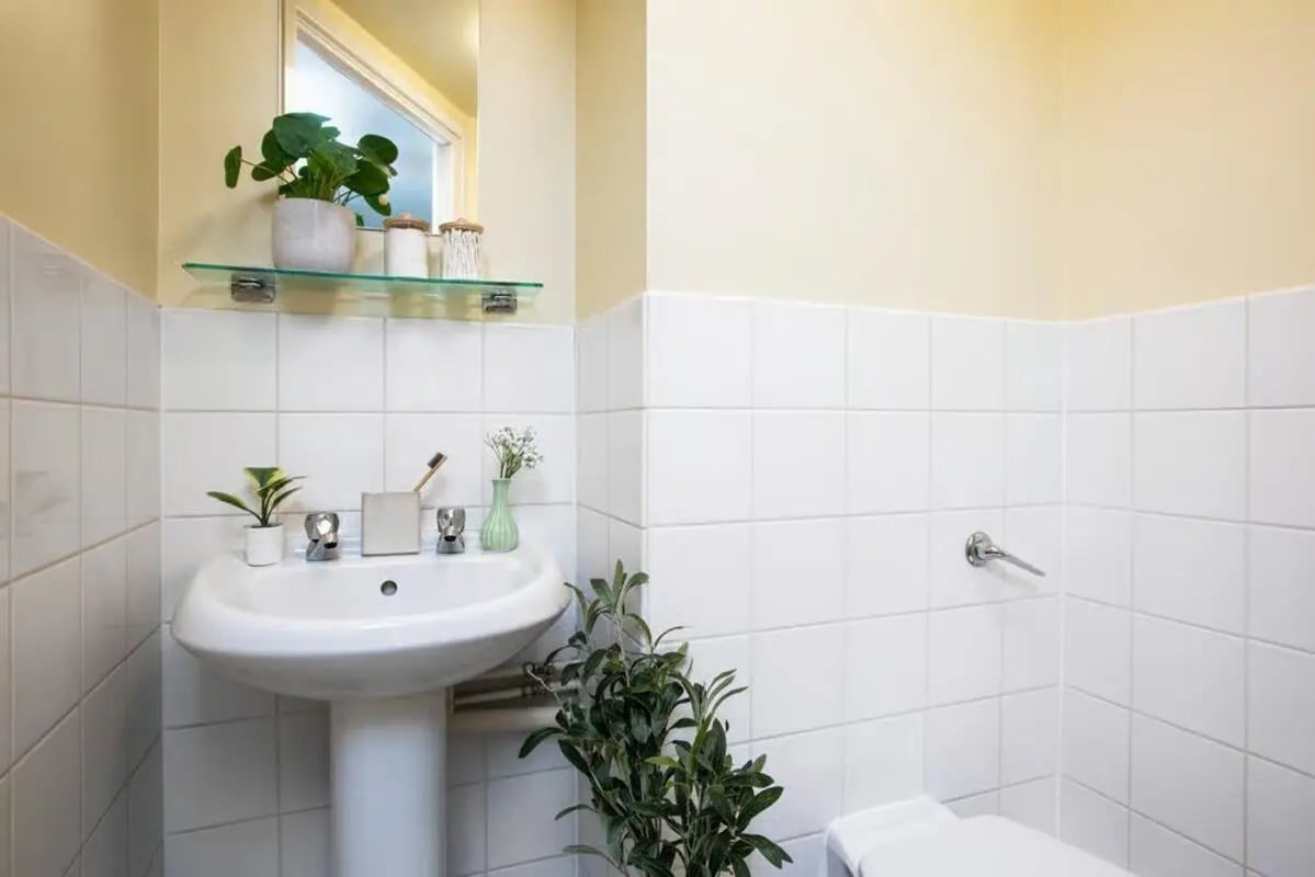 Sink plants toothbrush holder and toilet bathroom at Curzon House in Nottingham Student Accommodation