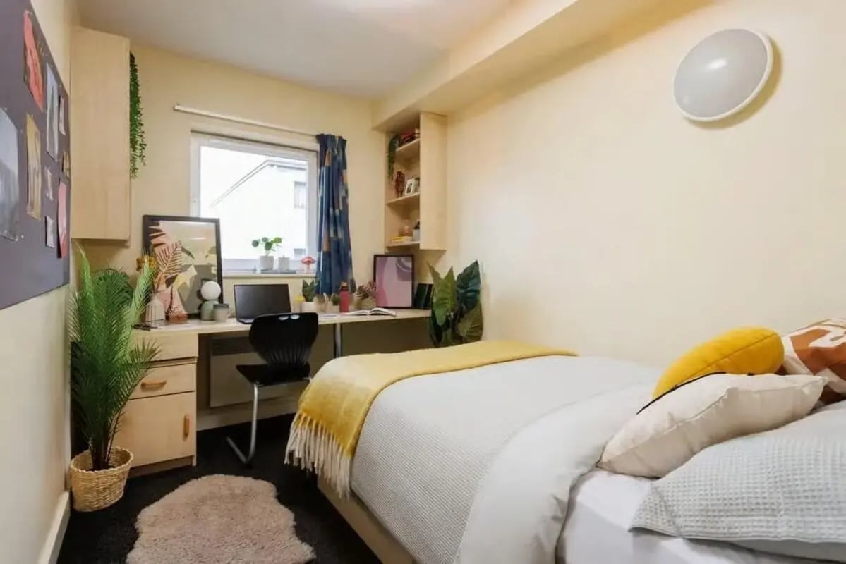 Bed desk chair plants and shelves bedroom at Curzon House in Nottingham Student Accommodation