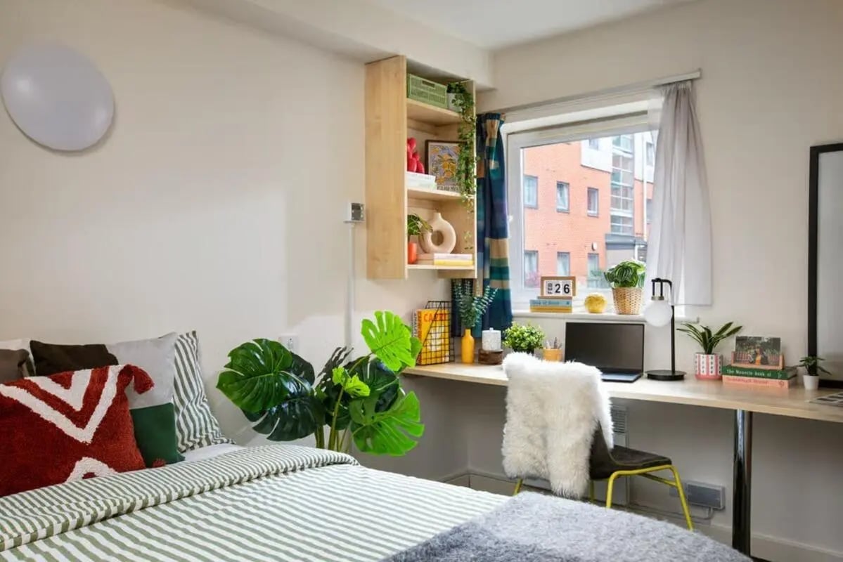 Bed desk plants and window student bedroom at Curzon House in Nottingham Student Accommodation