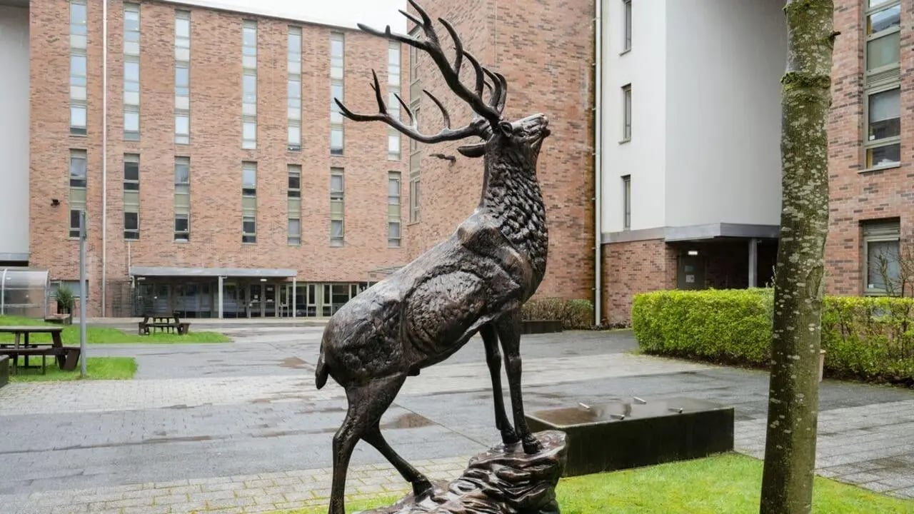 Stag sculpture and brick building exterior at Foundry Courtyard in Glasgow Student Accommodation