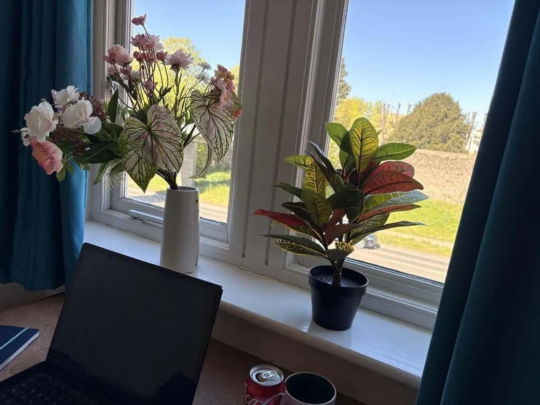 Laptop plants and flowers by window study area at Pin Hill in Canterbury Student Accommodation