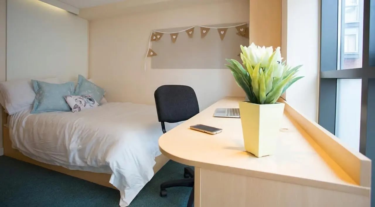Bed desk chair laptop plant study area bedroom at Brayford Quay in Lincoln Student Accommodation