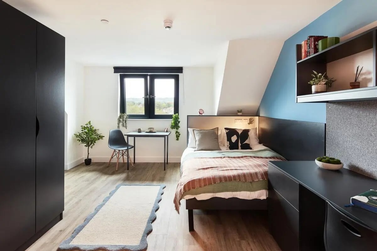 Wardrobe bed desk rug chair window bedroom at Hollis Wharf in Bath Student Accommodation