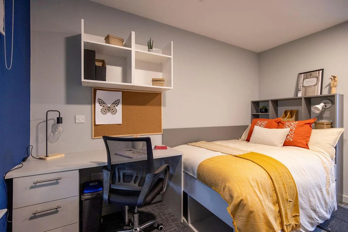 Desk bed and shelves bedroom at Ash Grove Court - Guildford in Guildford Student Accommodation