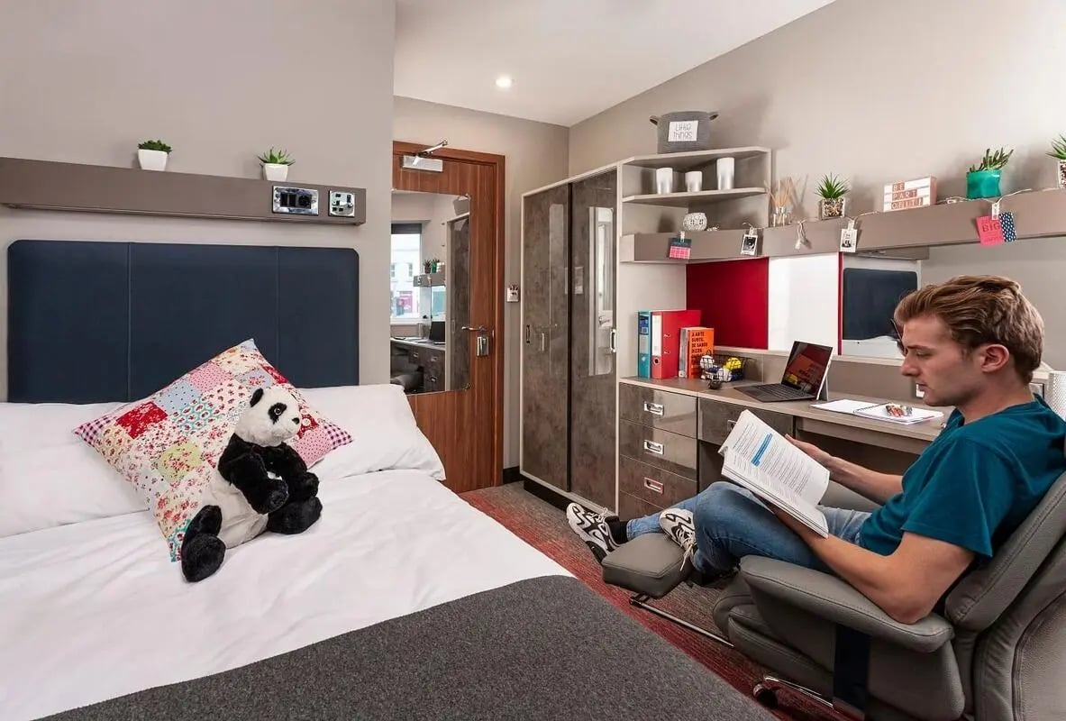 Bed desk with student and panda toy bedroom at Study Inn Talbot Street Nottingham in Nottingham Student Accommodation