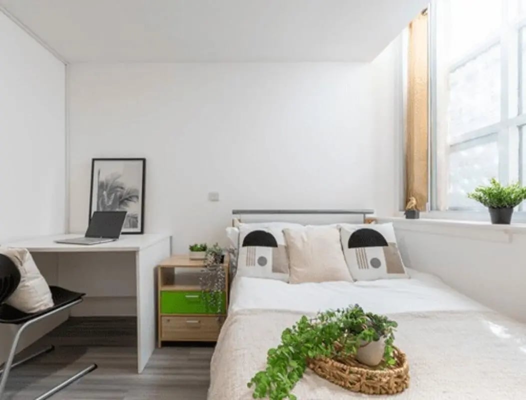 Bed desk chair and plants bedroom at dwell Castle Gate Haus in Nottingham Student Accommodation