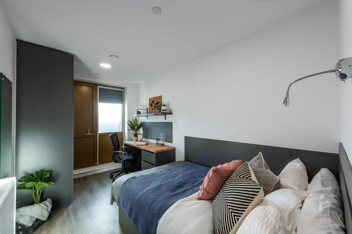 Bed desk plant and window bedroom at The Valentine London in London Student Accommodation