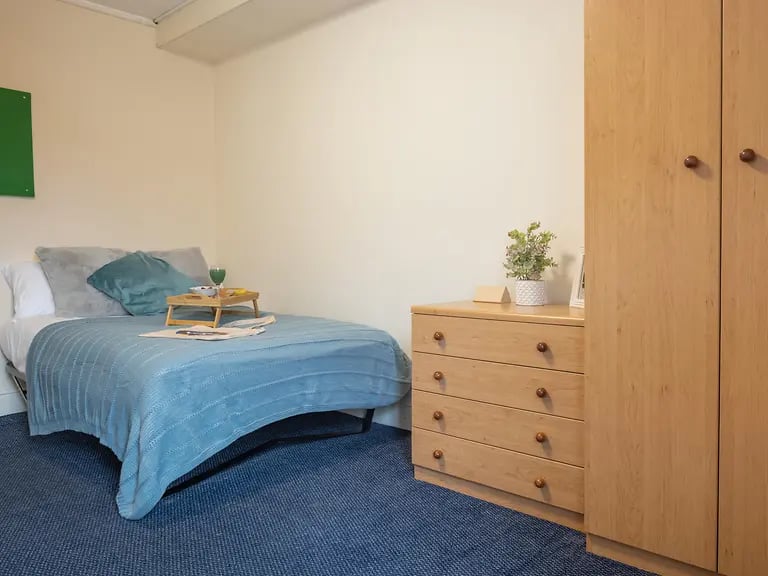 Bed dresser wardrobe and plant bedroom at Cable Street Lancaster in Lancaster Student Accommodation