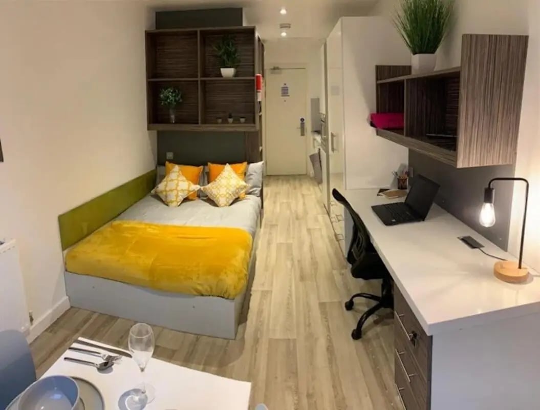 Bed desk shelves and plant studio apartment at Newcastle 1 in Newcastle Upon Tyne Student Accommodation