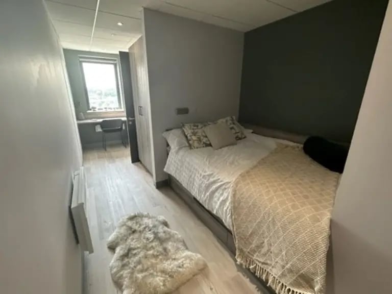 Bed desk and rug bedroom at Crown Place Swansea in Swansea Student Accommodation