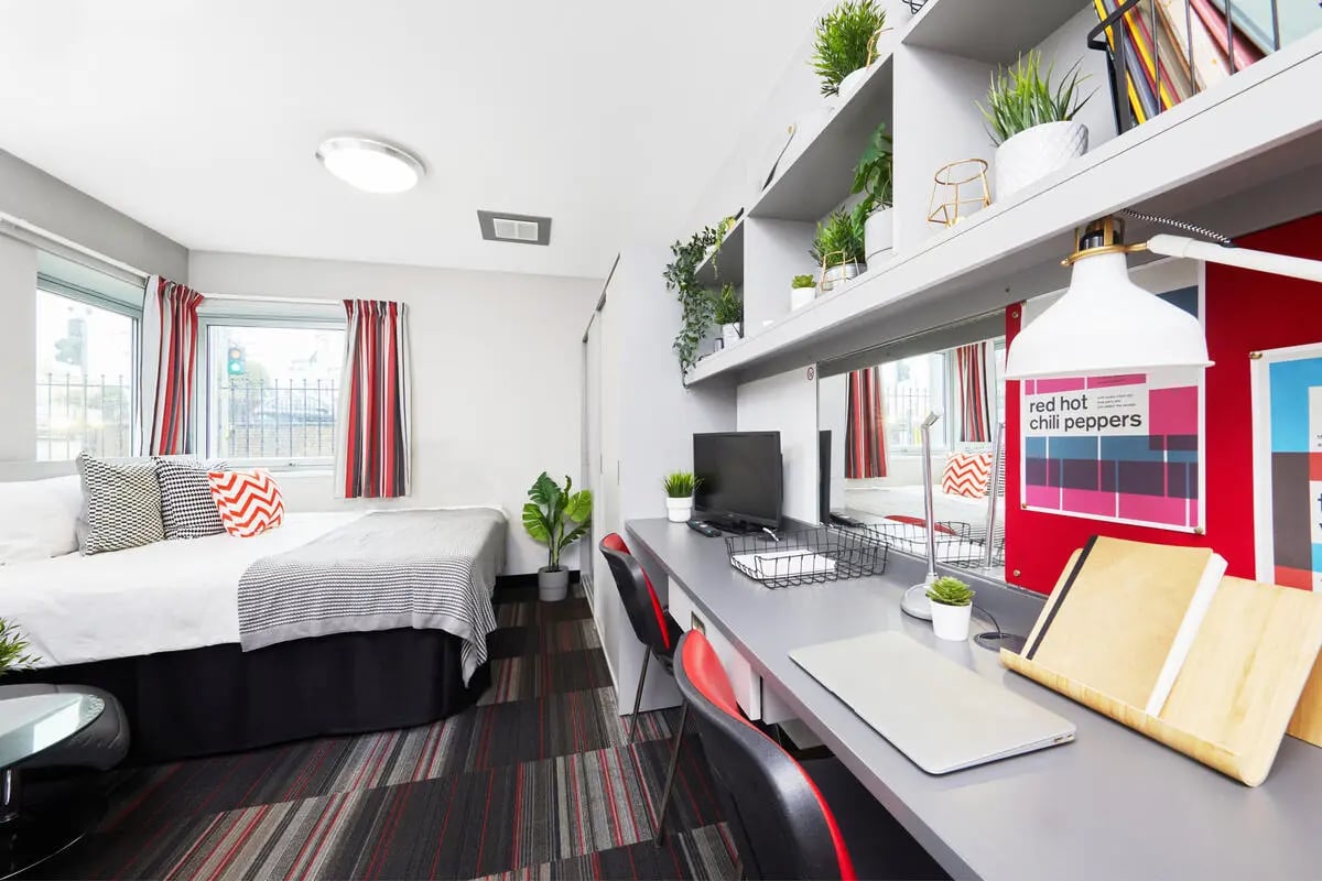 Bed desk chair plants and decor Bedroom Study Area at Clarendon Street in Nottingham Student Accommodation