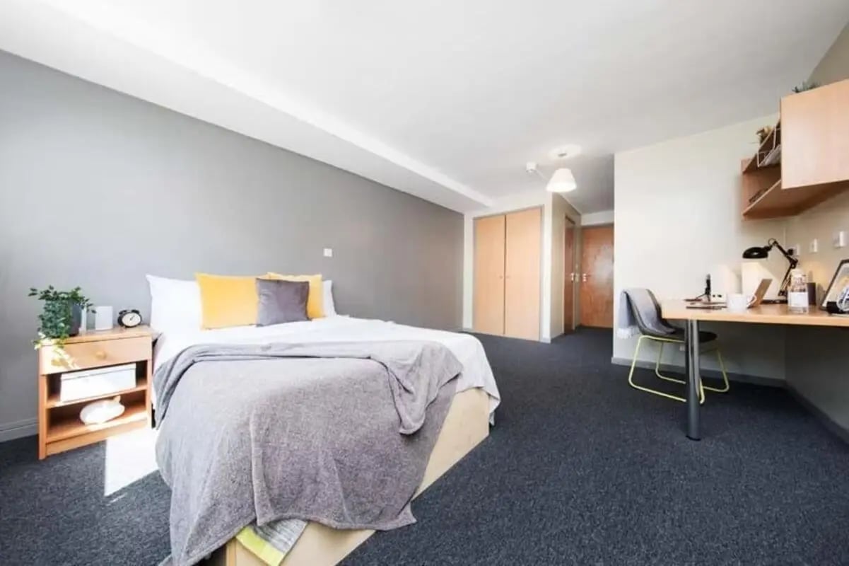 Bed desk plant lamp chair doors bedroom at Devonshire Courtyard in Sheffield Student Accommodation