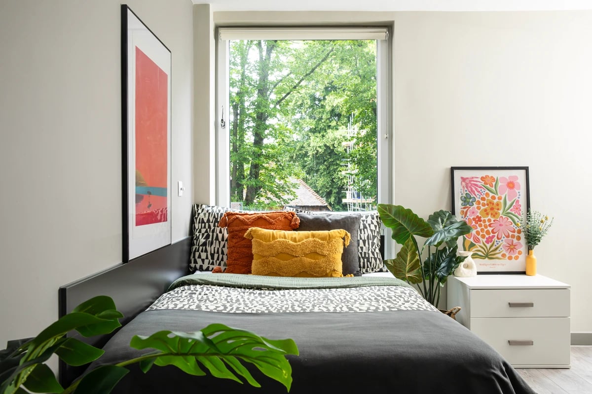 Bed with colorful pillows art plant and window bedroom at Beech House in Oxford Student Accommodation