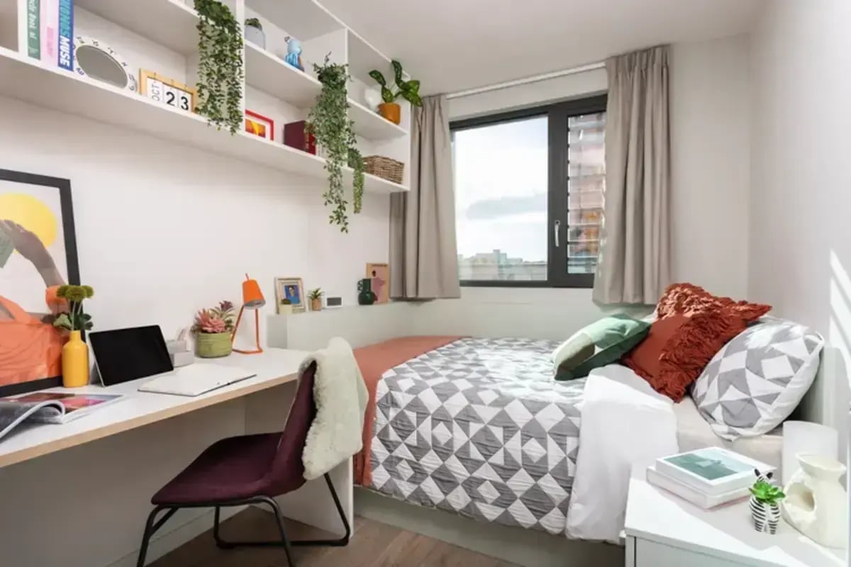 Desk bed shelves window plant bedroom at Avon Point in Bristol Student Accommodation