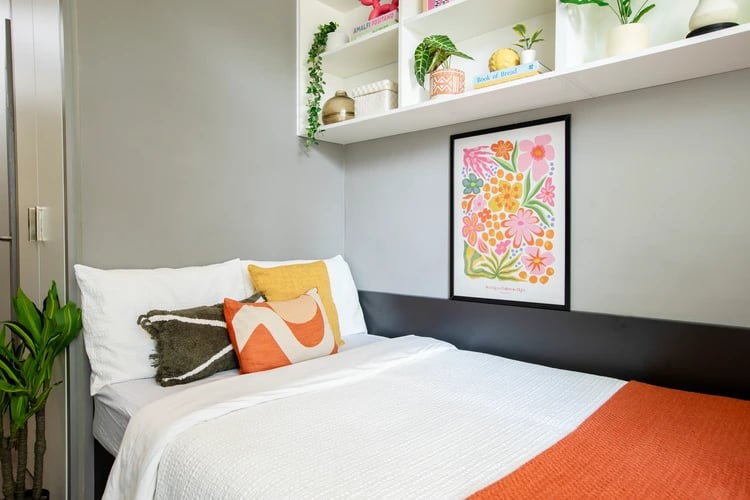 Bed with colorful pillows and wall art Bedroom at Beech House in Oxford Student Accommodation
