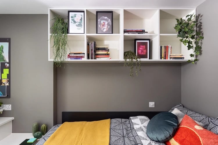Books plants art on shelf above bed Bedroom at Horizon Heights in Liverpool Student Accommodation