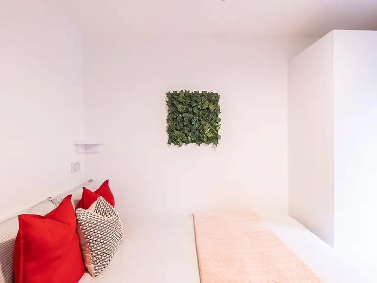 Bed with red cushions faux plant decor bedroom at Bailey Street in Sheffield Student Accommodation