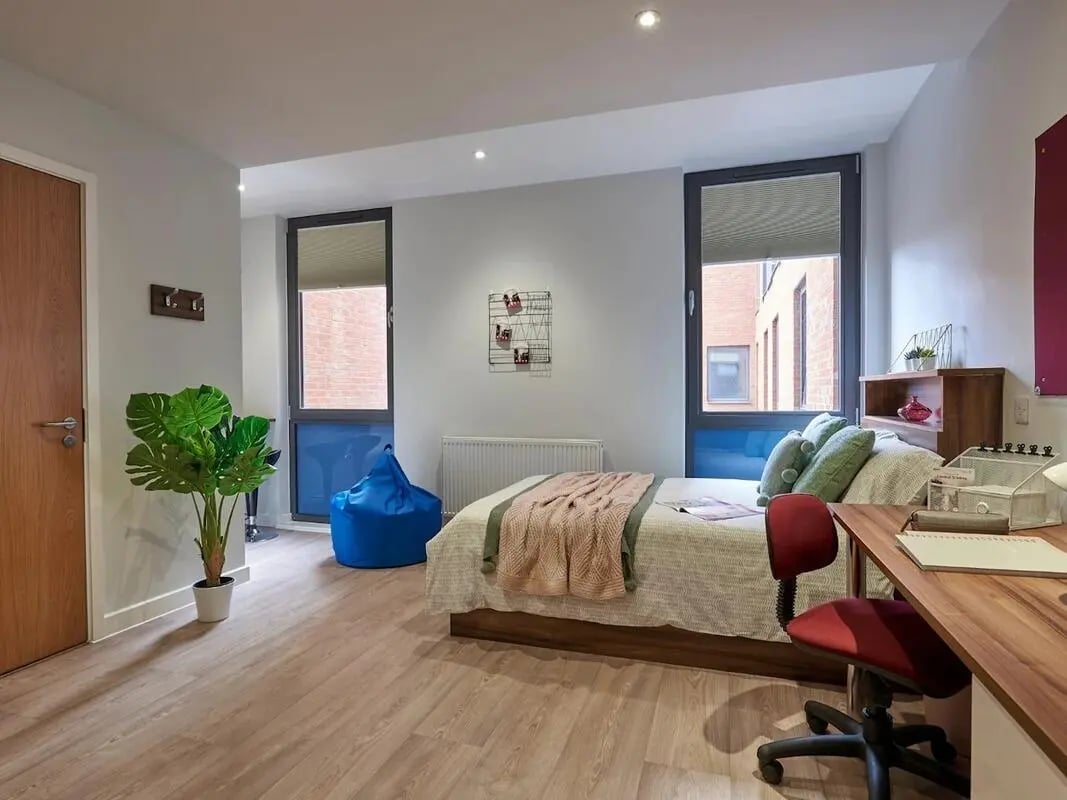 Bed desk beanbag plant bedroom at Central Studios Reading in Reading Student Accommodation