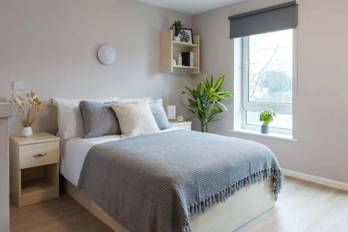 Bed side table plant and window bedroom at North Court in Cardiff Student Accommodation