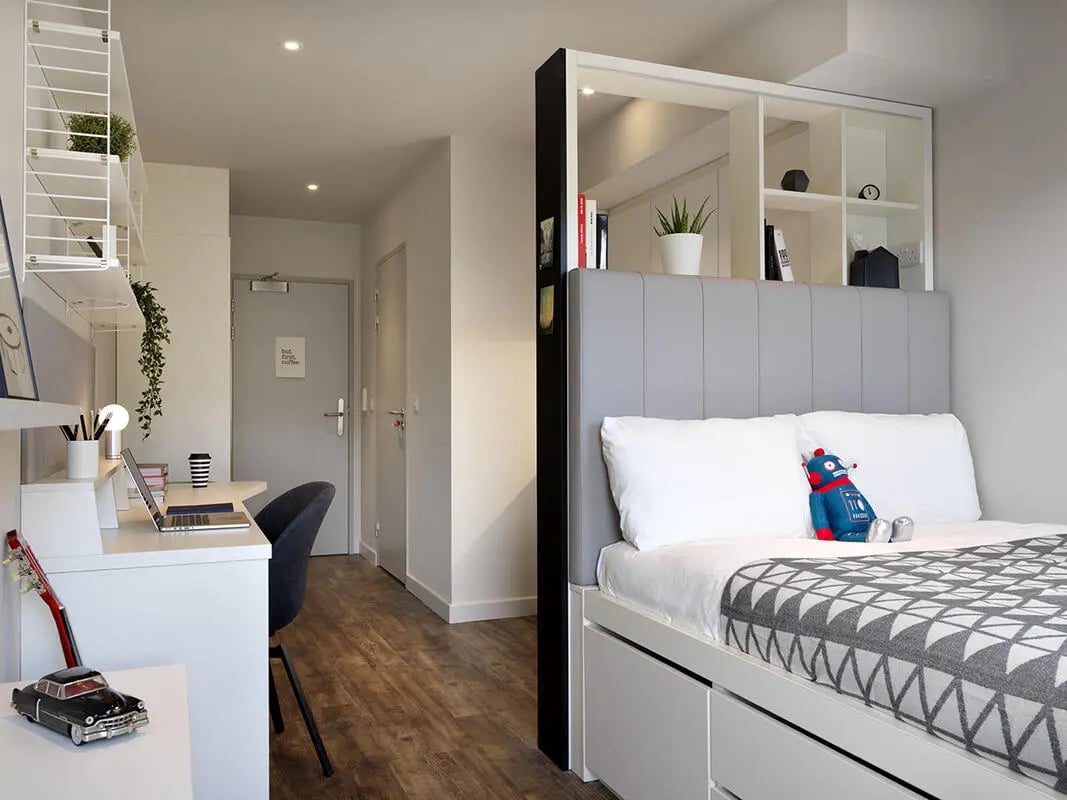 Desk bed plants and shelves student accommodation bedroom at Student Castle Bath in Bath Student Accommodation