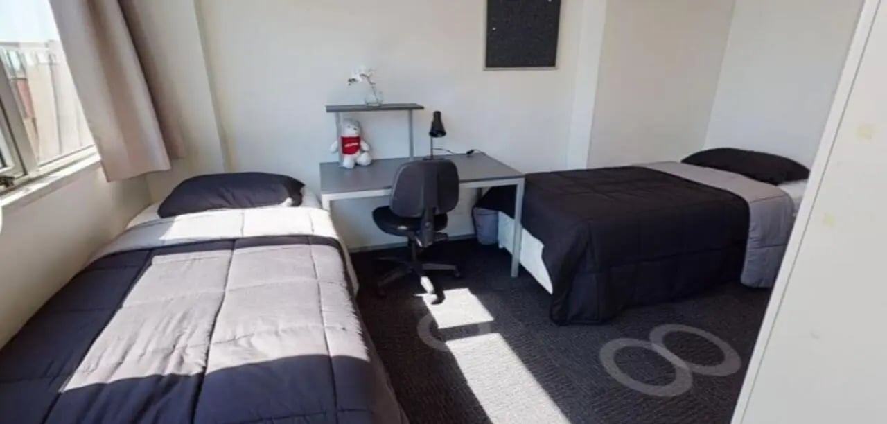 Two beds desk chair teddy bear bedroom at Student Living Auckland in Auckland Student Accommodation
