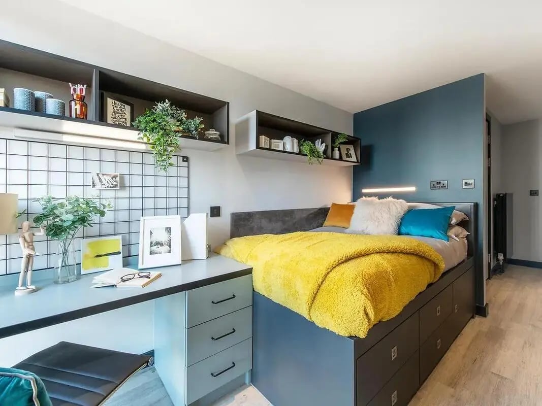 Desk bed shelves plants bedroom at Zenith in Cardiff Student Accommodation