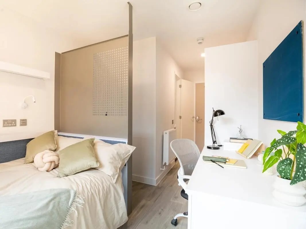 Bed desk chair and plant bedroom study area at Promenade Student Living in Brighton Student Accommodation