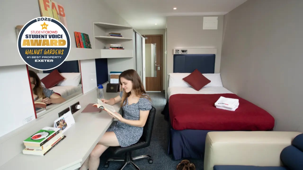 Student studying at desk bed and sofa bedroom at Study Inn Walnut Gardens Exeter in Exeter Student Accommodation