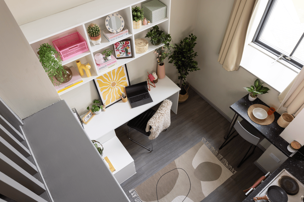 Desk shelf plants and rug study area at Causeway View in Aberdeen Student Accommodation