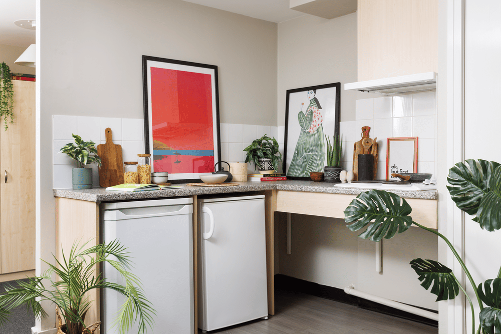 Two mini fridges framed art and plants kitchen at The Tannery Leeds in Leeds Student Accommodation