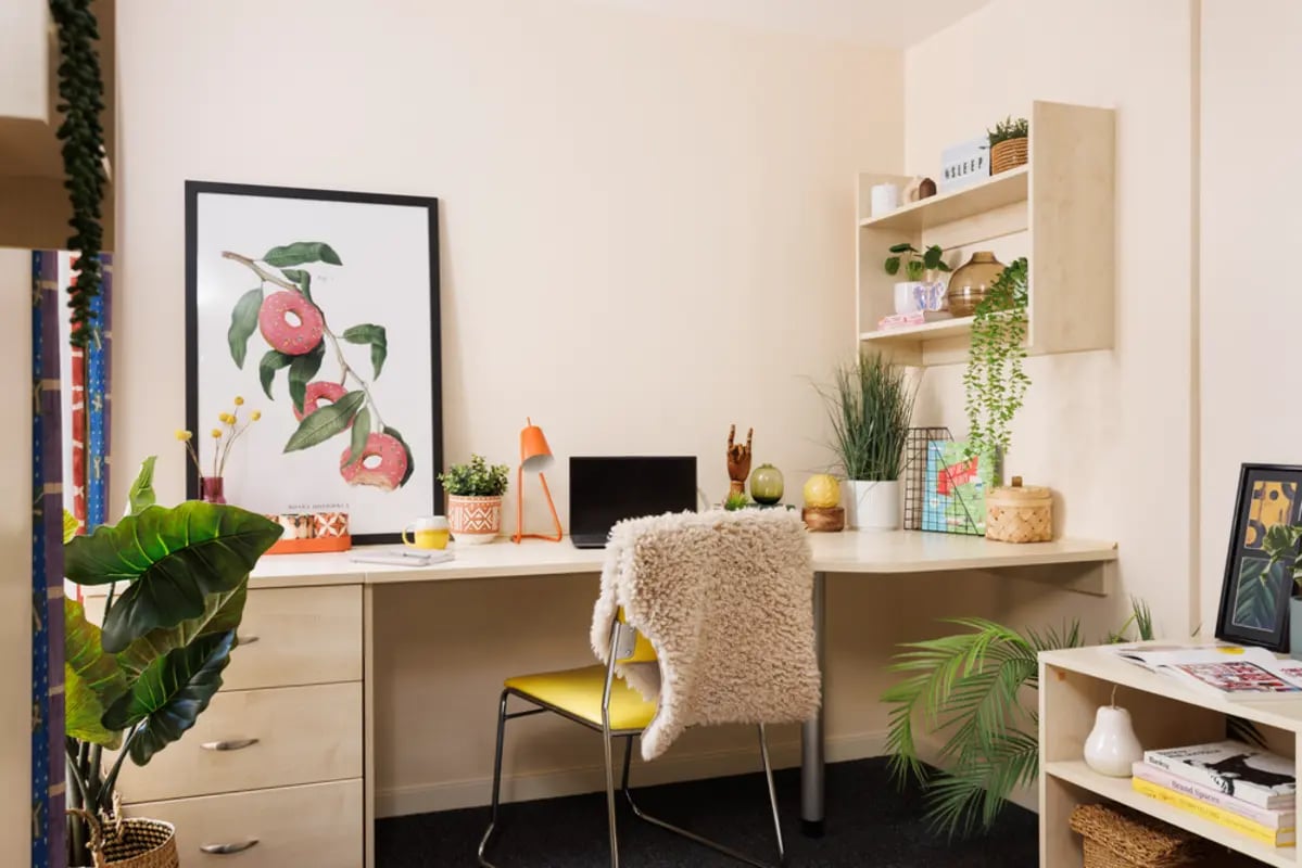 Desk with laptop plants and chair study area at The Tannery Leeds in Leeds Student Accommodation