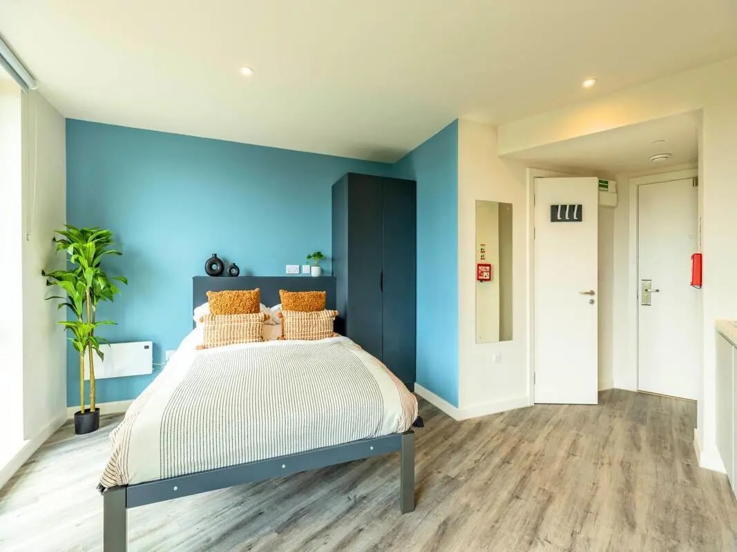 Bed wardrobe plant white radiator mirror bedroom at Pershore Junction in Birmingham Student Accommodation