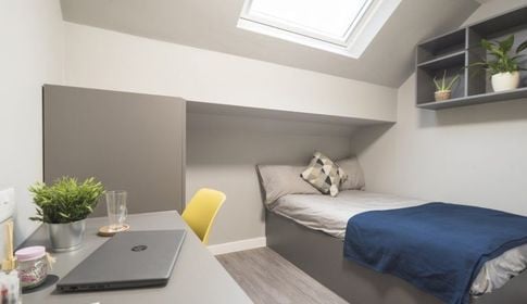 Bed with blue blanket desk laptop plants bedroom at Allen Court in Manchester Student Accommodation
