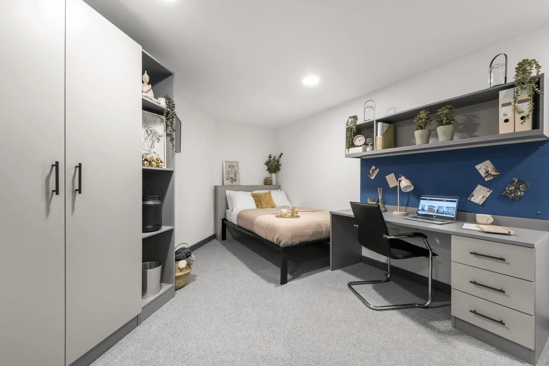 Wardrobe bed desk chair shelves plants bedroom at Compass in Birmingham Student Accommodation