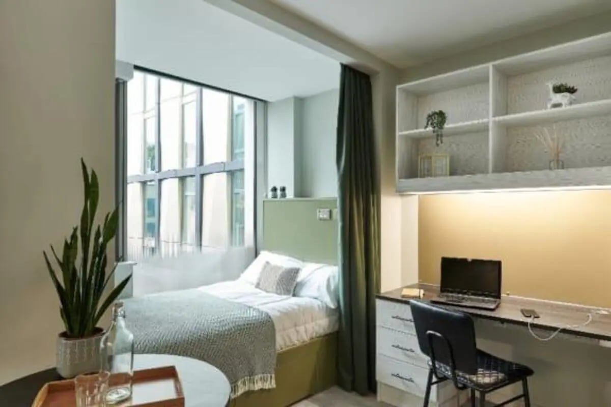 Bed desk shelves plant and laptop bedroom at Flora Building - Hoxton in London Student Accommodation