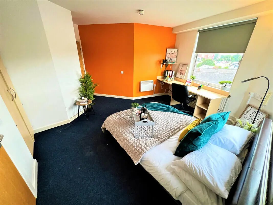 Bed desk plant and window bedroom at Dunn House in Sunderland Student Accommodation
