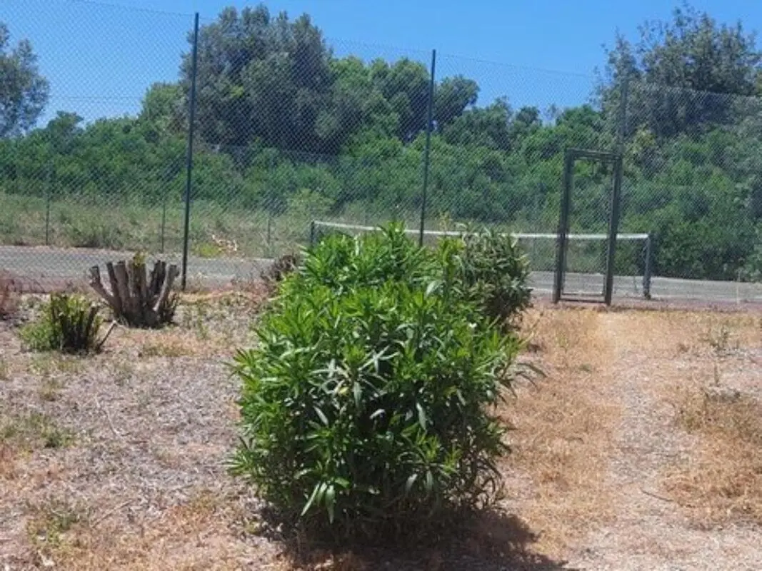 Cozy Double Bedroom close to Vale do Lobo Beach