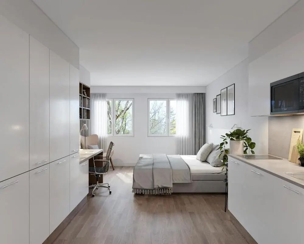 Bright and neat studio near the centre of Bonn
