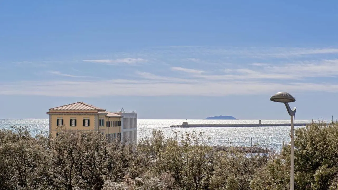 Sunny studio in the heart of Livorno