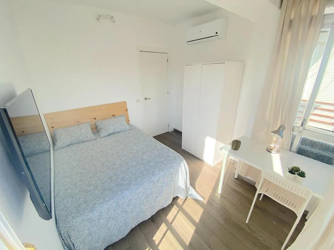 Sunny room near center with WIFI and TV for students