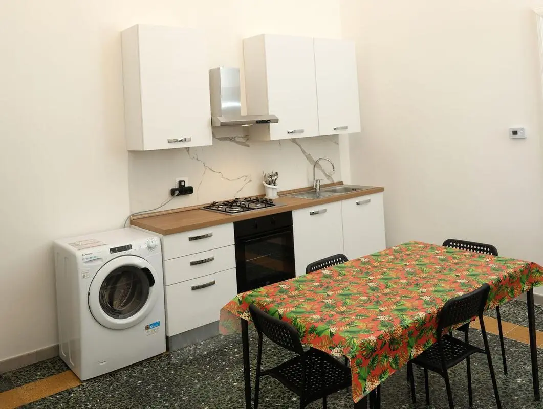 Recently renovated 3-bedroom apartment close to the city center and the university